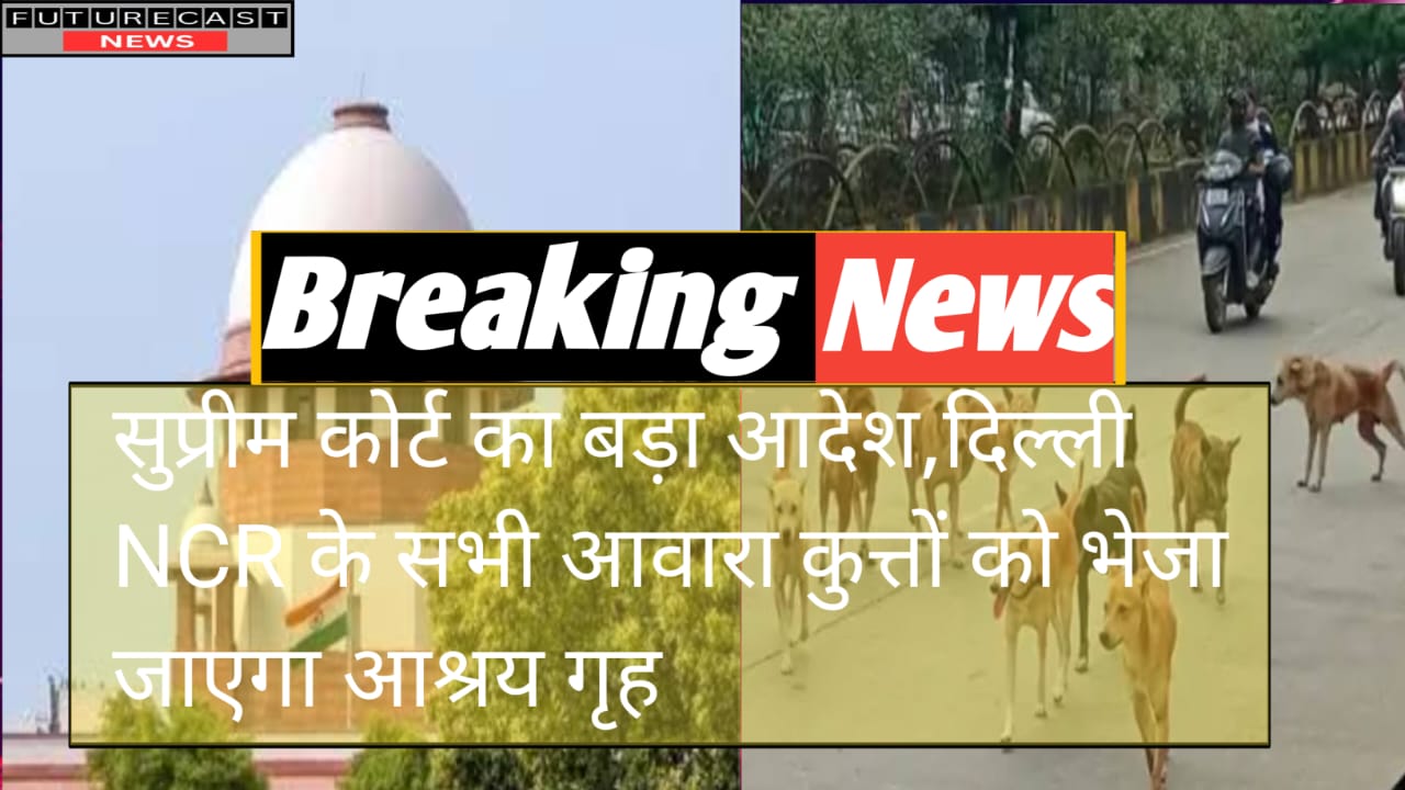 सुप्रीम कोर्ट का बड़ा आदेश,दिल्ली NCR के सभी आवारा कुत्तों को भेजा जाएगा आश्रय गृह